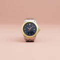 Omega Seamaster · 18K Yellow Gold · Steel