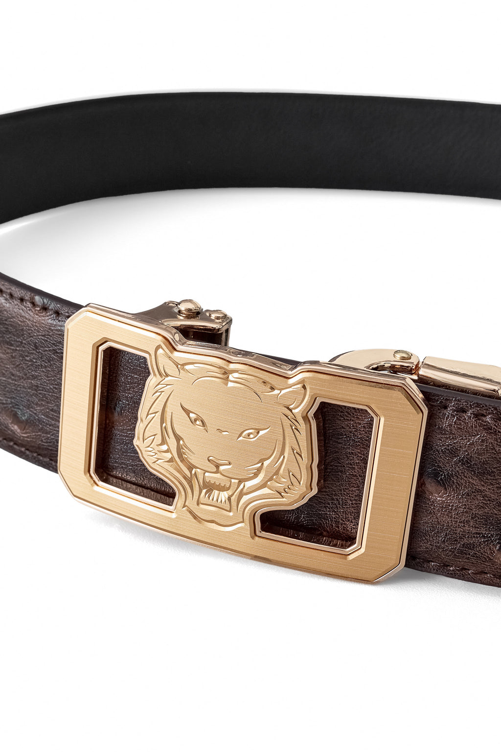 Ostrich-Emb. Leather Lion Auto BKL Belt – Gold Ed. GOLD/COFFEE