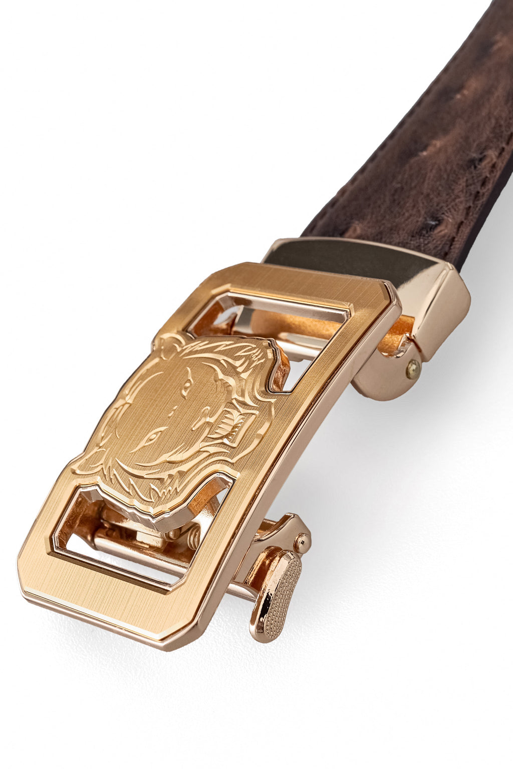 Ostrich-Emb. Leather Lion Auto BKL Belt – Gold Ed. GOLD/COFFEE