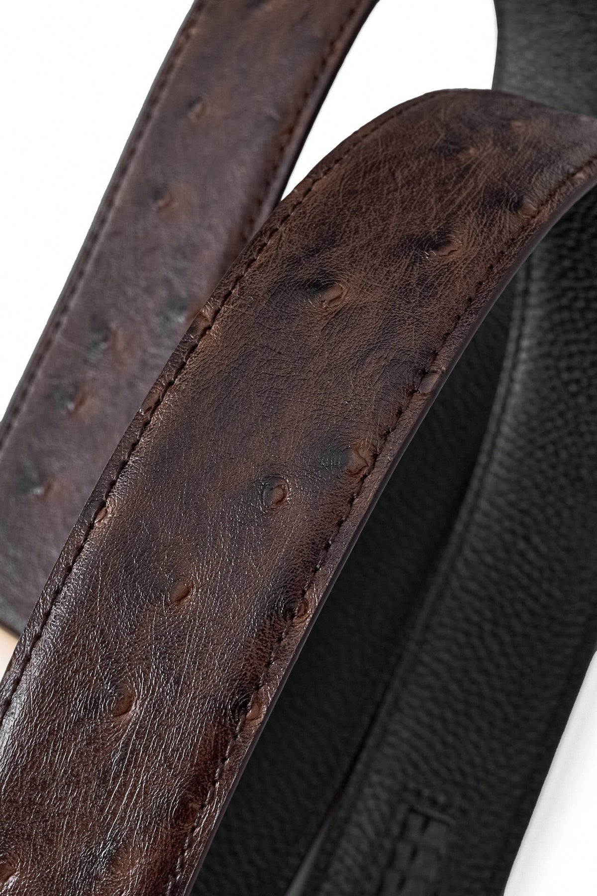 Ostrich-Emb. Leather Lion Auto BKL Belt – Gold Ed. GOLD/COFFEE