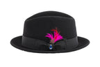 Ferrecci Brooks Soft 100% Australian Wool Felt Body With Removable Feather Black Hat Great For Travel
