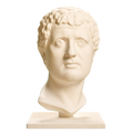 Portrait Head of a Man