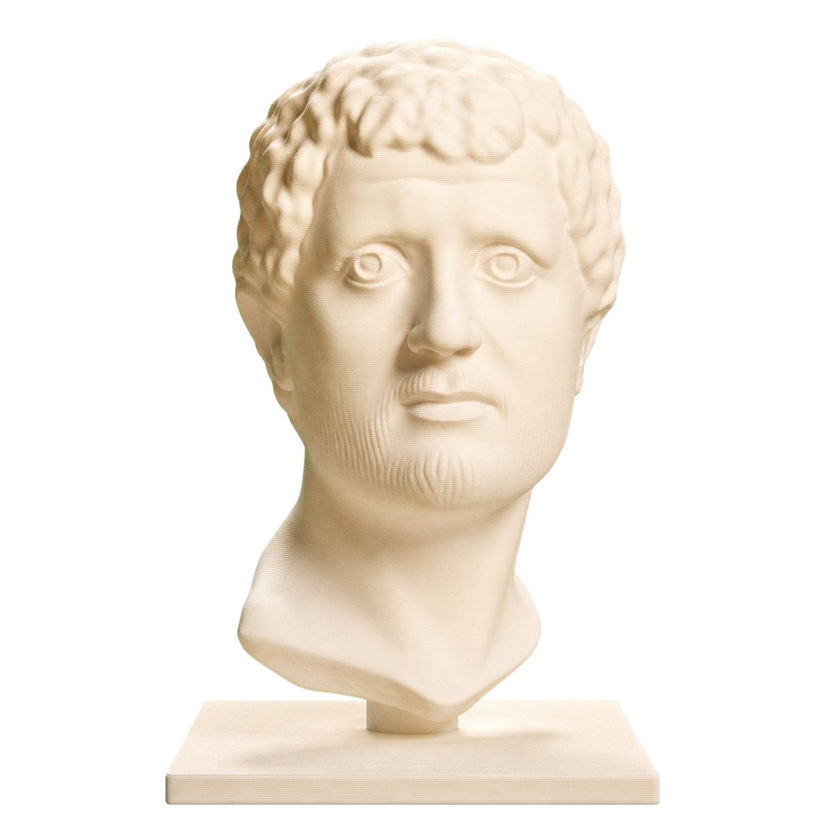 Portrait Head of a Man