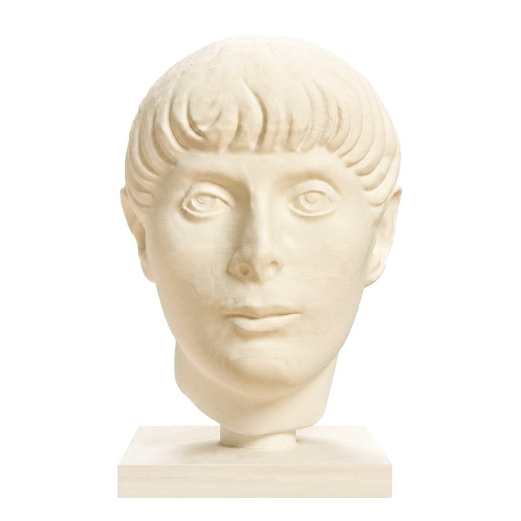 Head of a Young Man