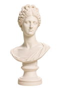 Portrait Bust of a Flavian Woman, The Fonseca Bust