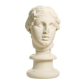 Portrait, 'The Beautiful Head'