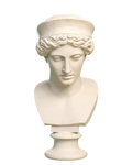 Head