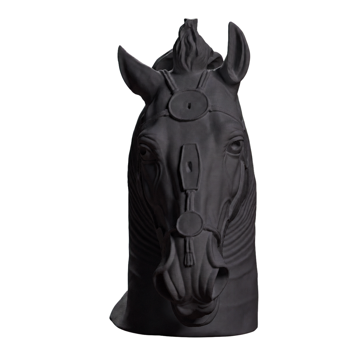 Horse Head