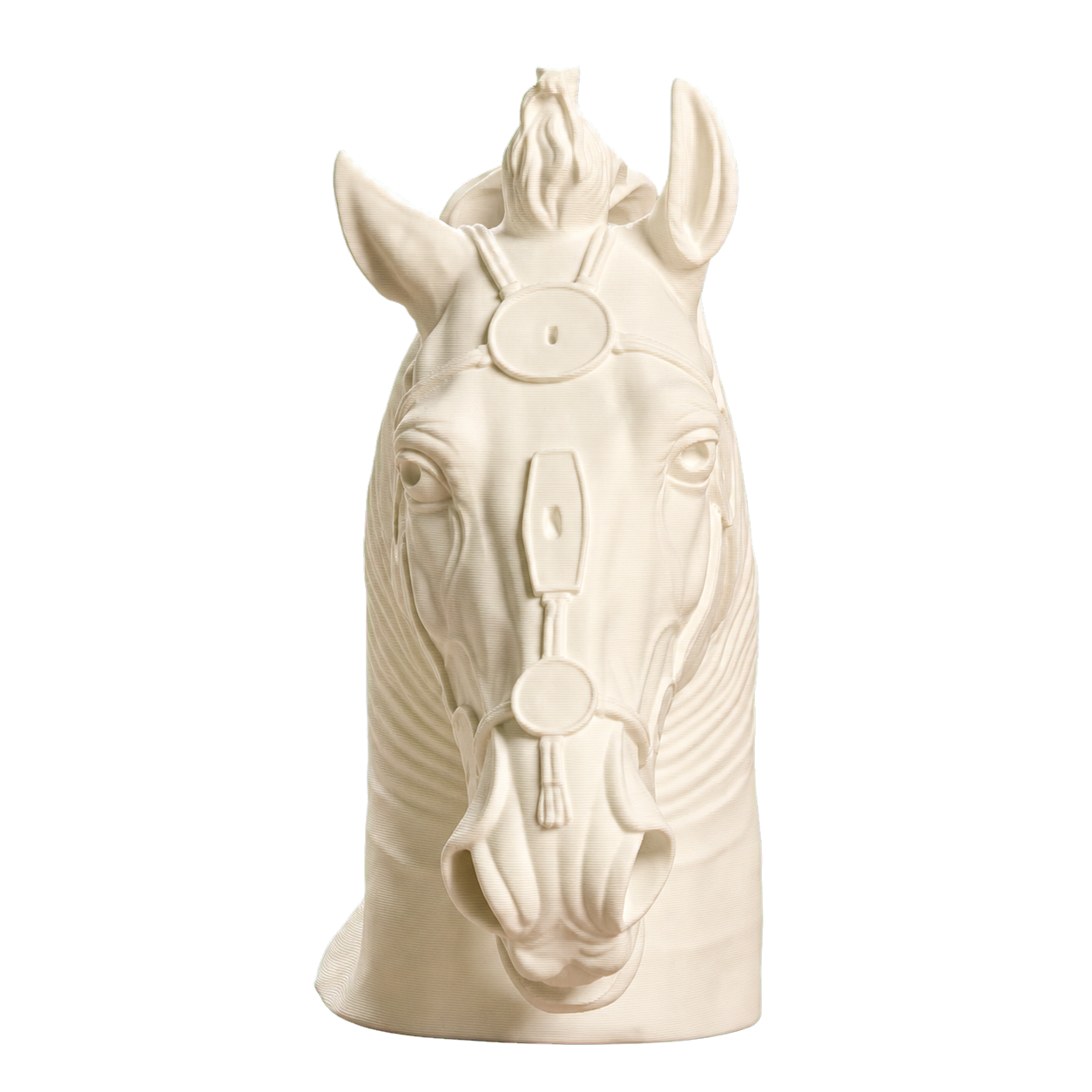 Horse Head