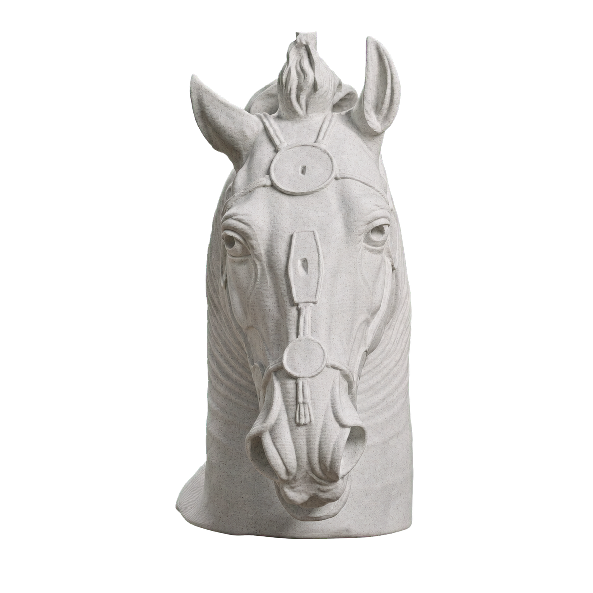 Horse Head
