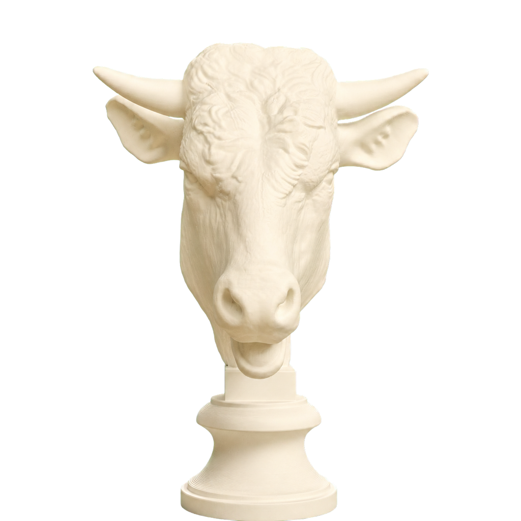 Head of a Bull