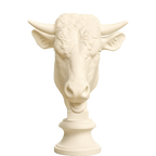 Head of a Bull