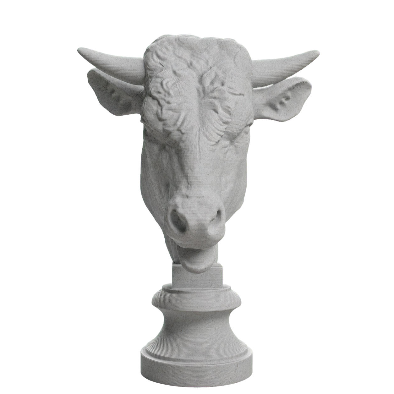 Head of a Bull