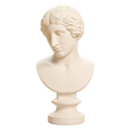 Head