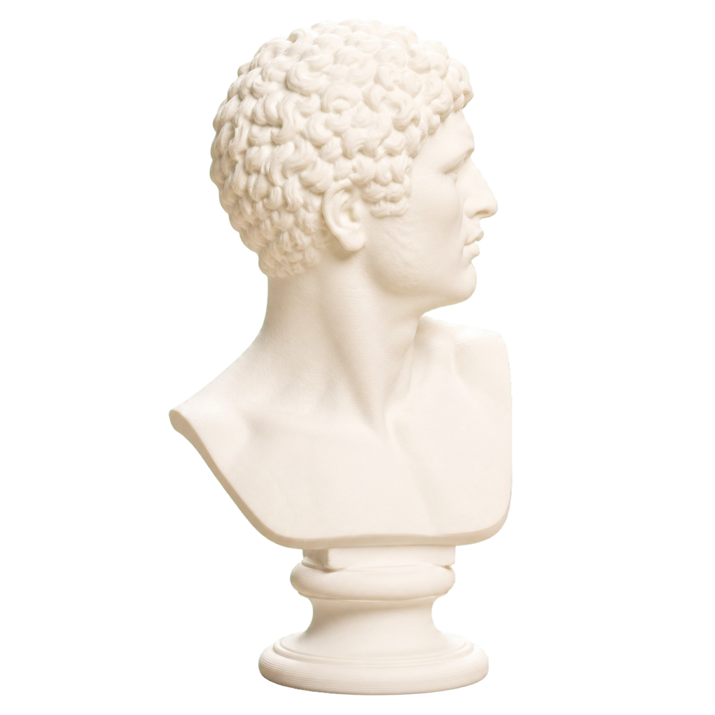 Head of a Man
