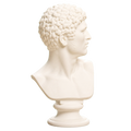 Head of a Man