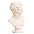 Head of a Man