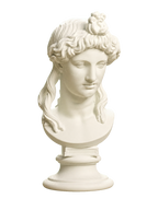 Head of a Woman or Apollo