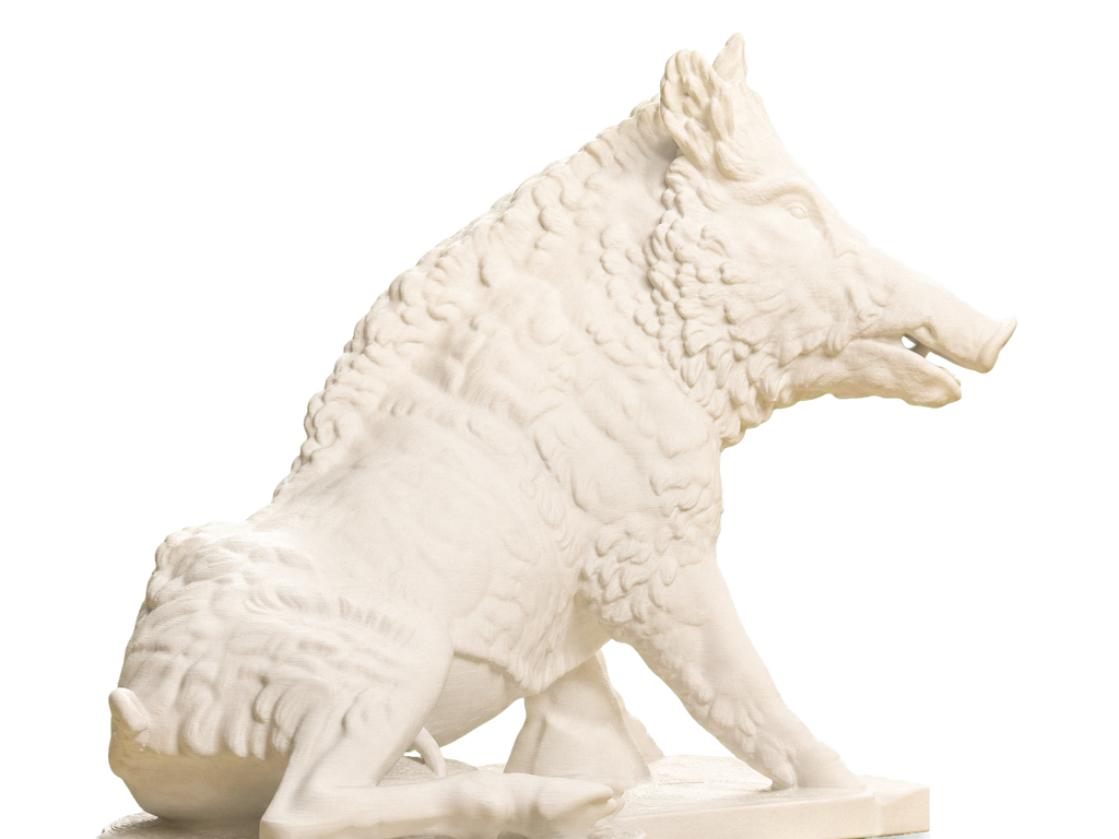 The Wild Boar Porcellino