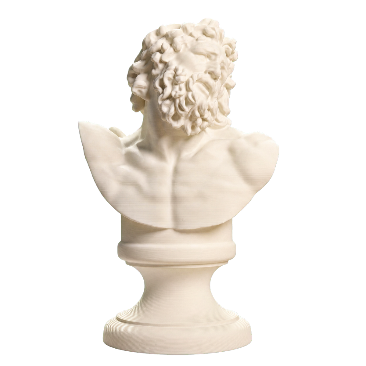 Bust of Laocoon