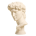 Head of Michelangelo's David