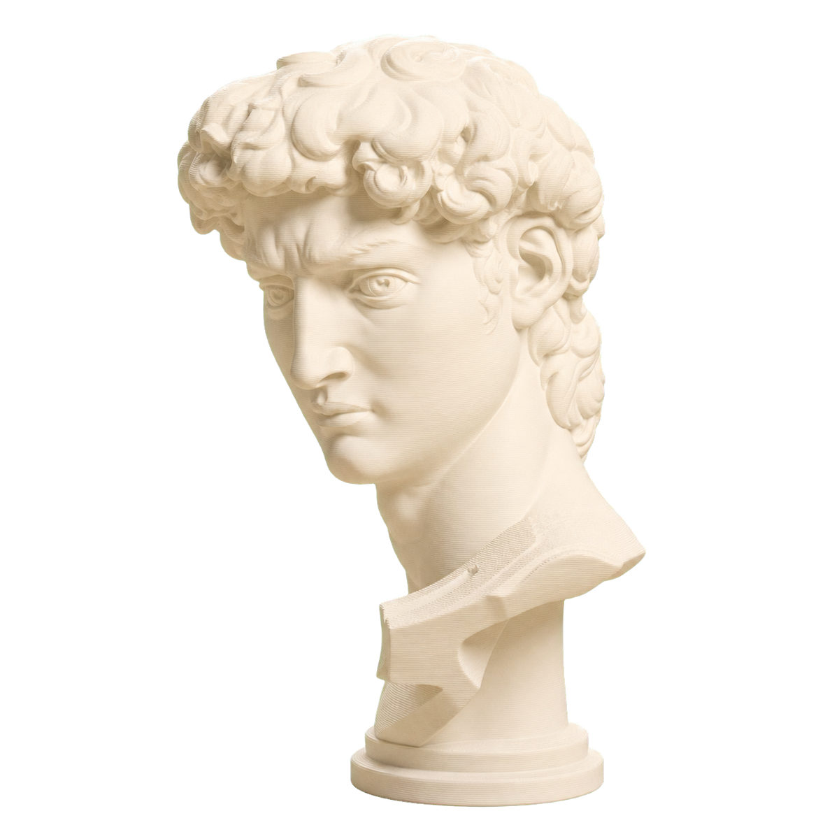 Head of Michelangelo's David