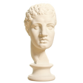 Fragmentary head of Hercules (from the Lansdowne Herakles)