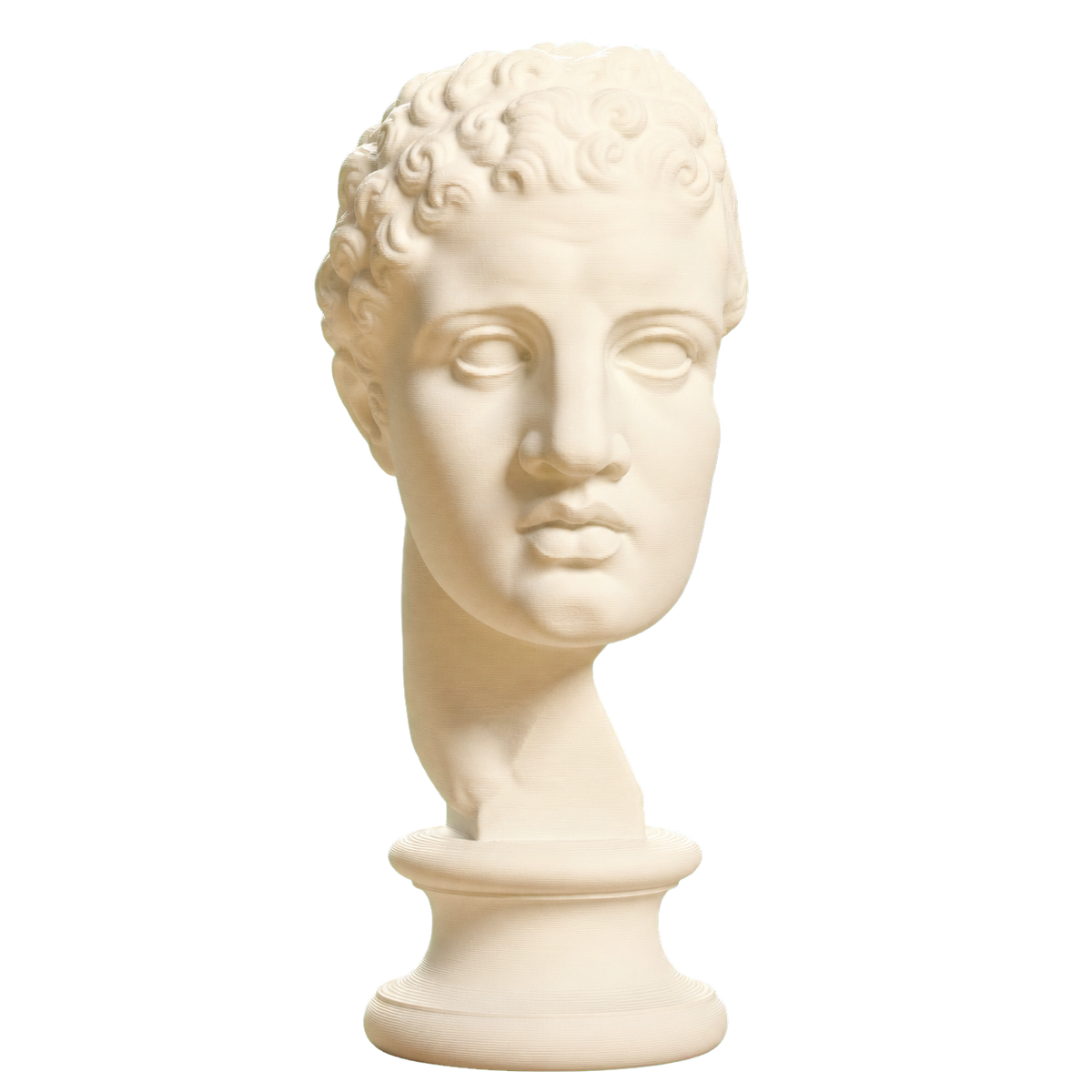 Fragmentary head of Hercules (from the Lansdowne Herakles)