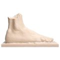 Right foot of an athlete (?)