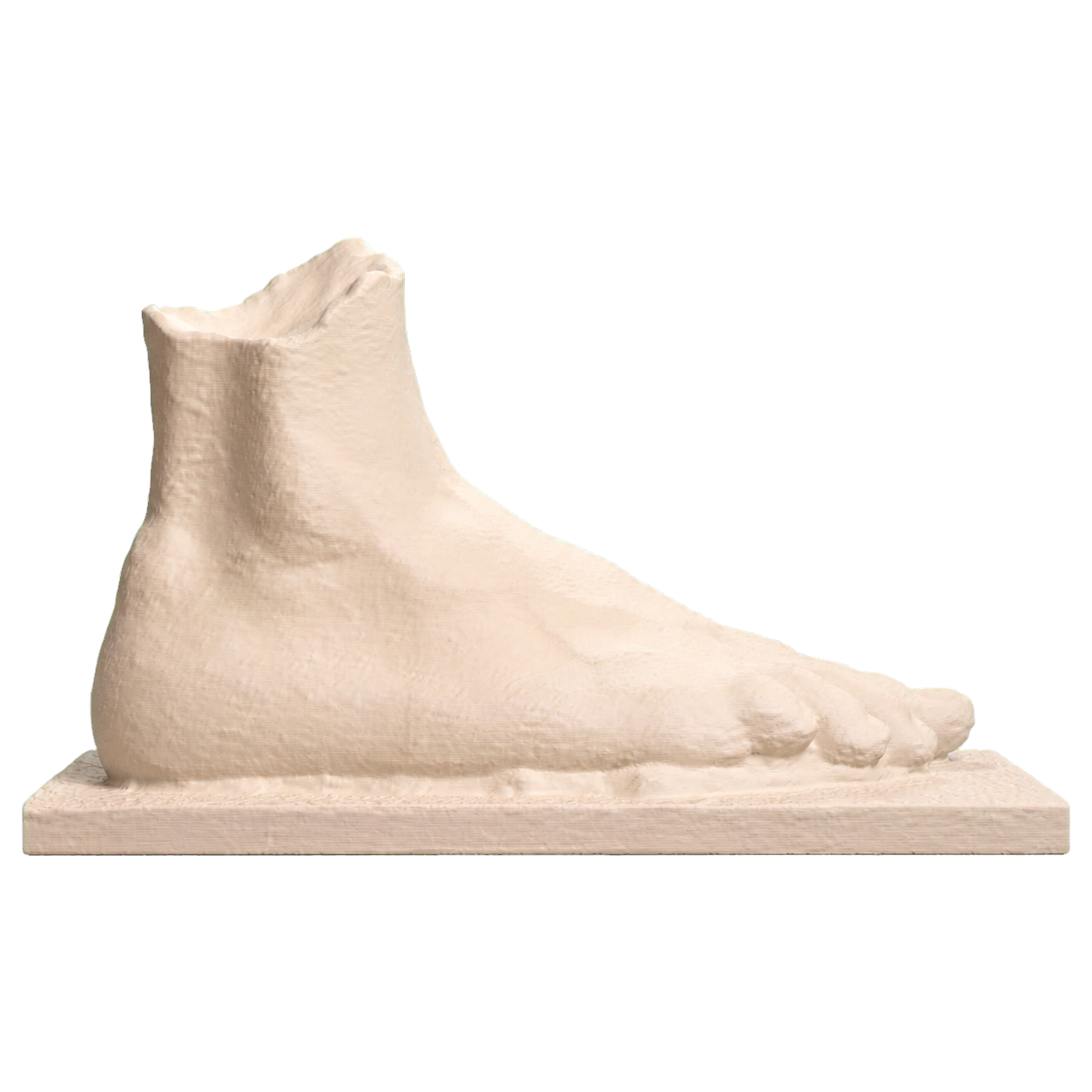 Right foot of an athlete (?)