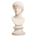 Portrait of a man