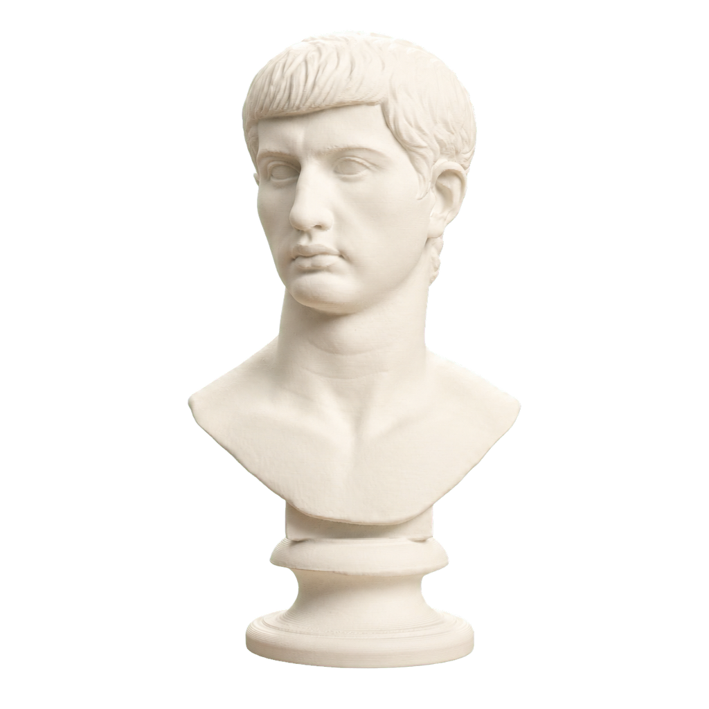 Portrait of an Augustine Prince Marcellus (?)