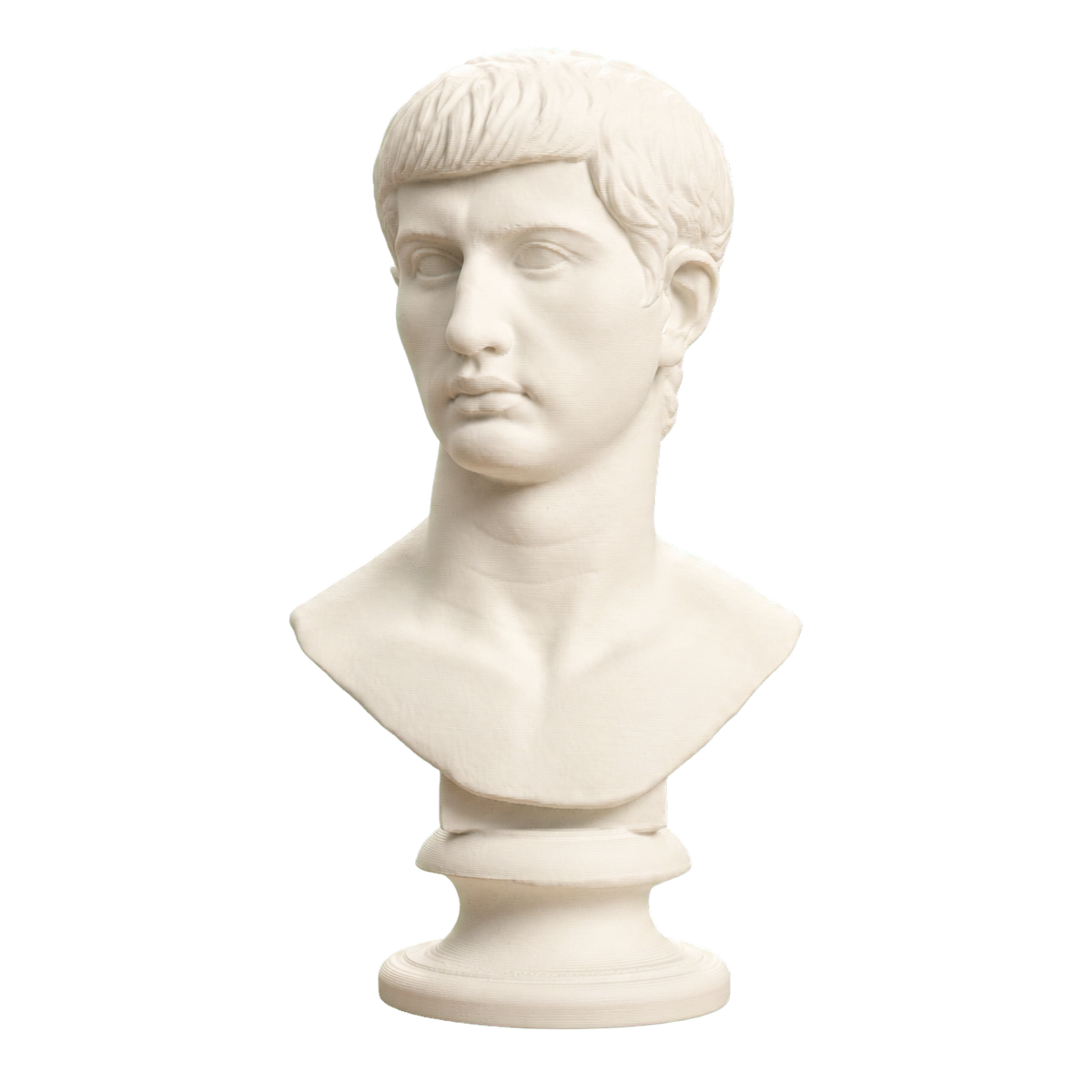 Portrait of an Augustine Prince Marcellus (?)