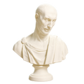 Bust