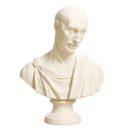 Bust