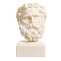 Head of a Bearded Man