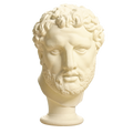 Head