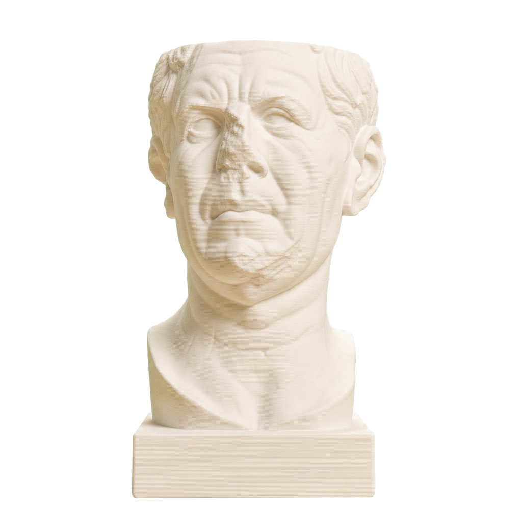 Portrait of a Roman the so-called 'Tivoli General'