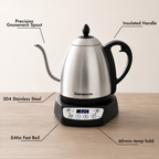 Classic 1.0L Gooseneck Electric Kettle