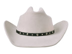 Wool Felt Hat Alamo