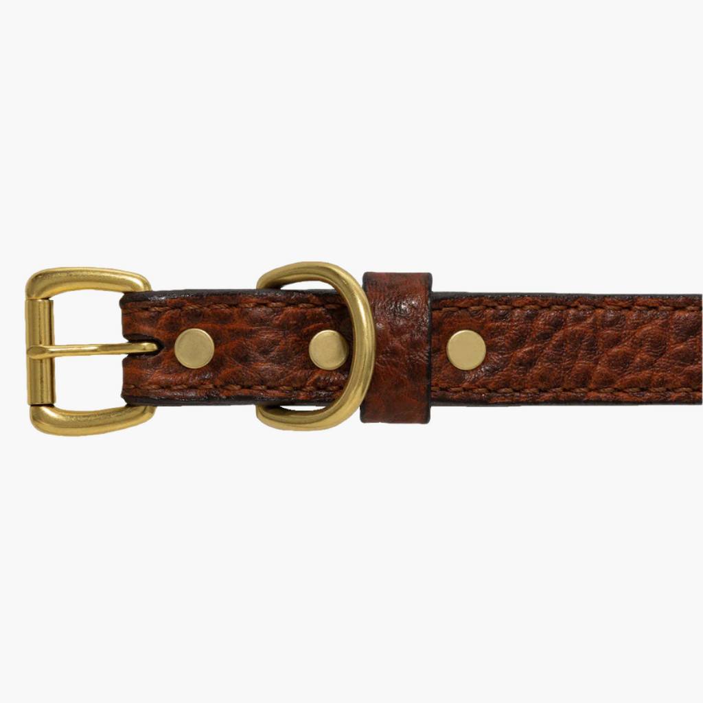 Bison Dog Collar | 3/4" Width