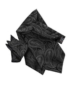 Vittorio Farina Men's Woven Paisley Ascot & Pocket Square