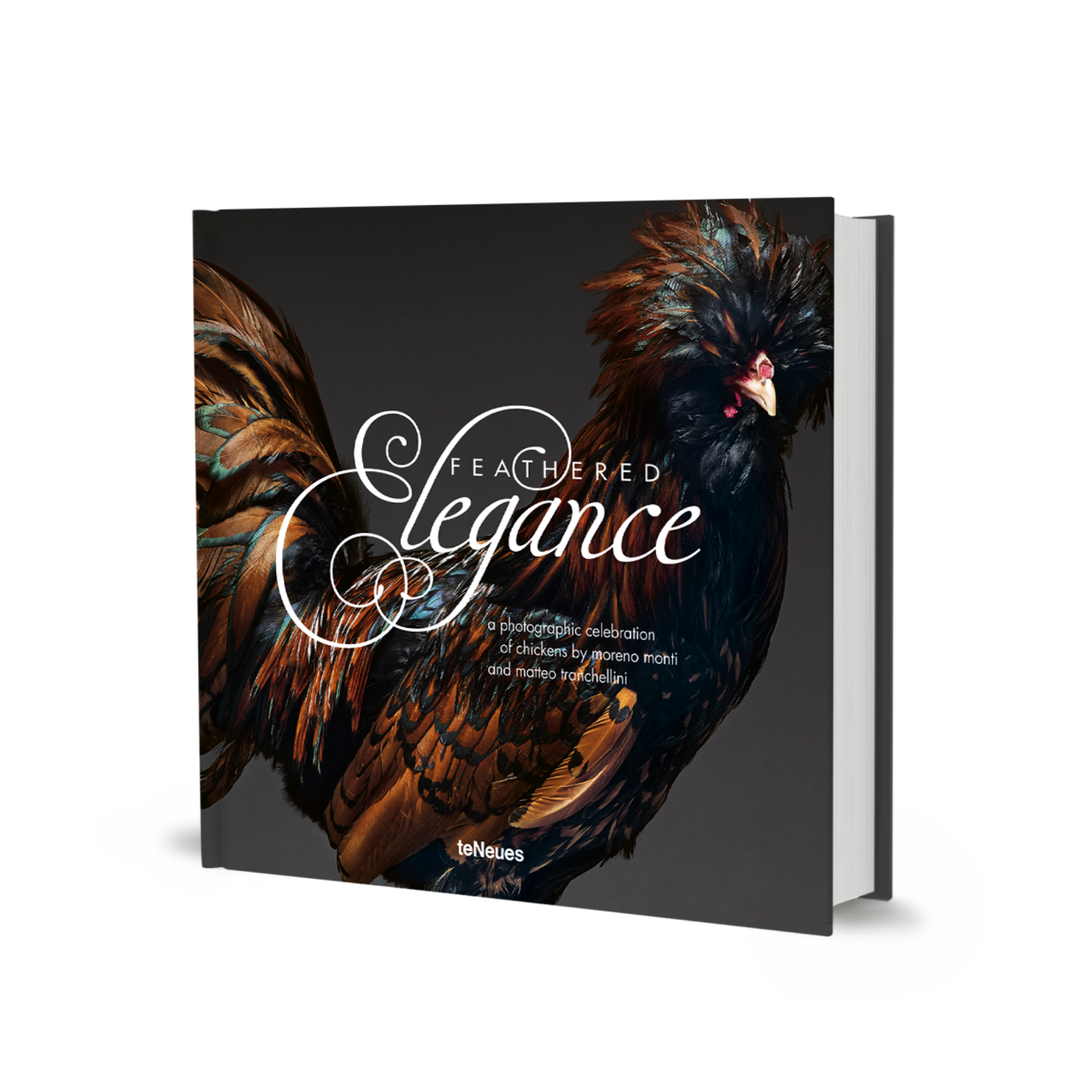 Feathered Elegance