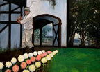 Cinderella Story - Caddyshack Art