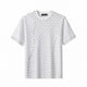 WHITE/SILVER