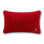 Control Freak Needlepoint Pillow