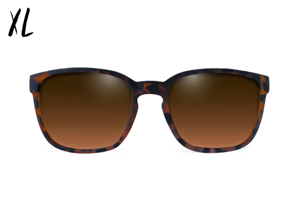 Cabana XL - Tortoise Shell - Brown Gradient Polarized