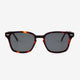 Black Tortoise