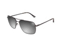 Coastal - Matte Black/Grey Tortoise - Silver Bullet Polarized