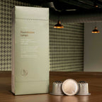 Colonna Coffee Pods: Foundation Lungo (10x)
